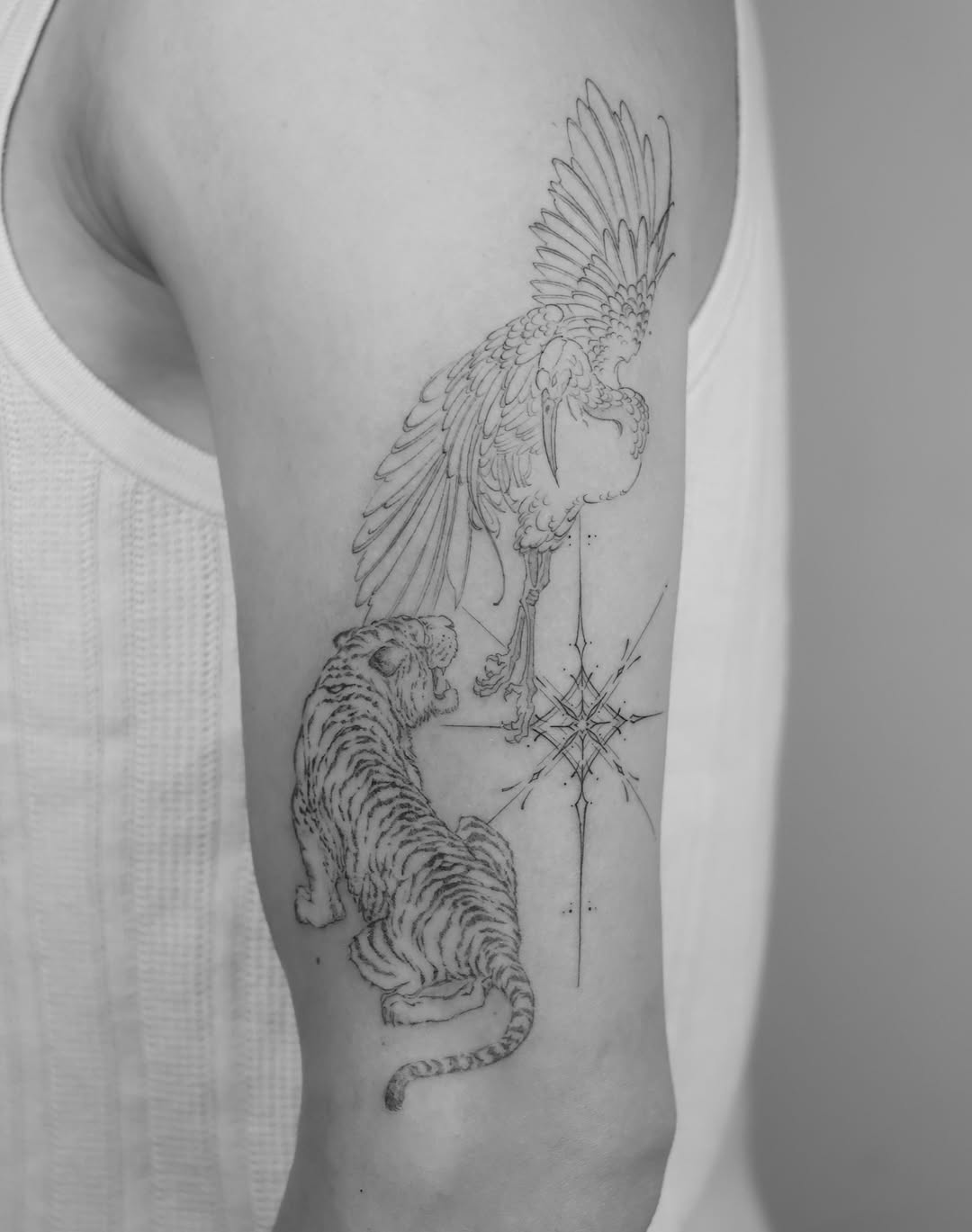 Fineline tigre y garza